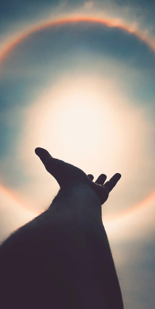 Hand reaches for the sun