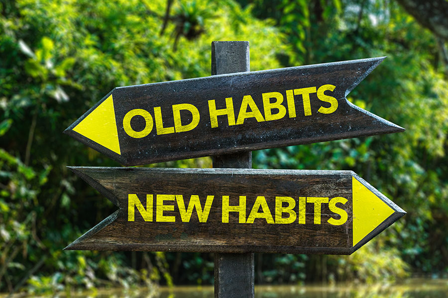 A signpost in the forest holds two signs with arrows pointing in opposite directions, reading “old habits” and “new habits.”